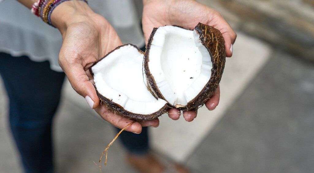 Coconuts